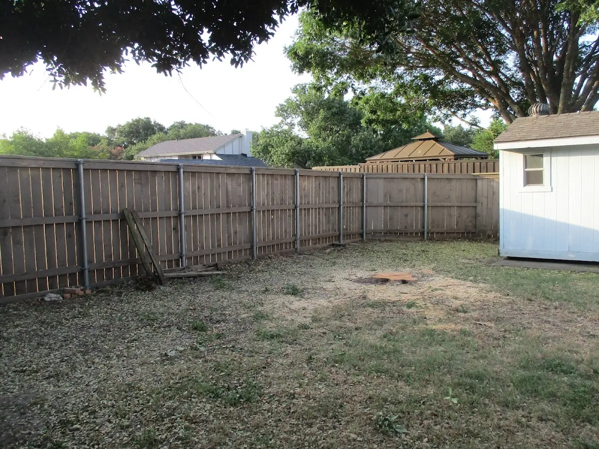 Cleared yard after professional tree removal in North Washington