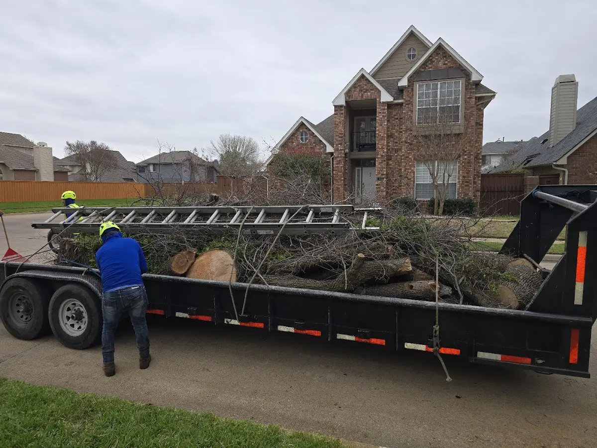 Expert Tree Fertilization with proper safety equipment in North Washington